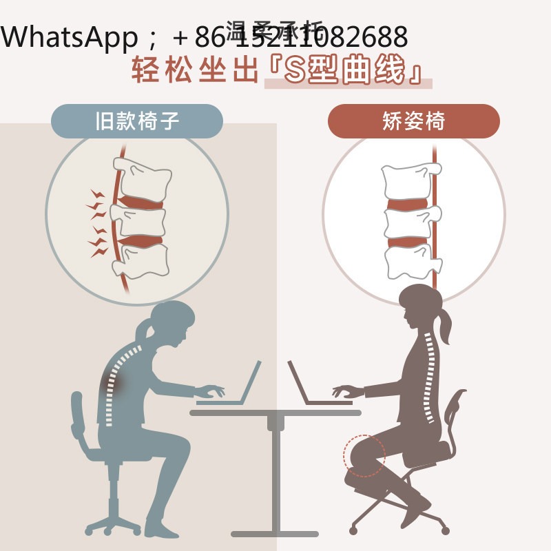 Chaise de bureau ergonomique L - Office Chair avis et prix